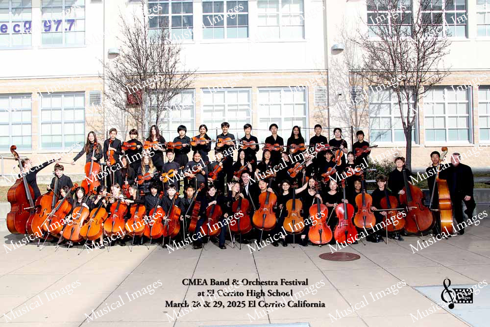 Musical Images